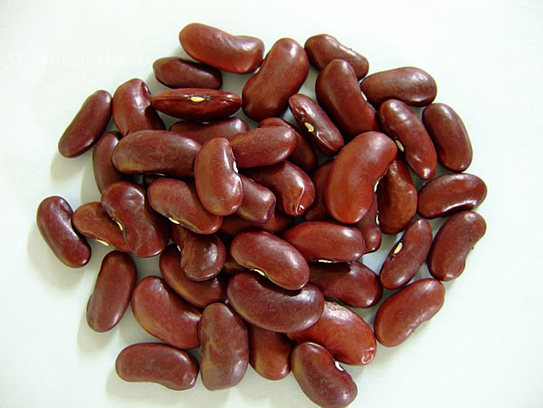 Haricot Kidney