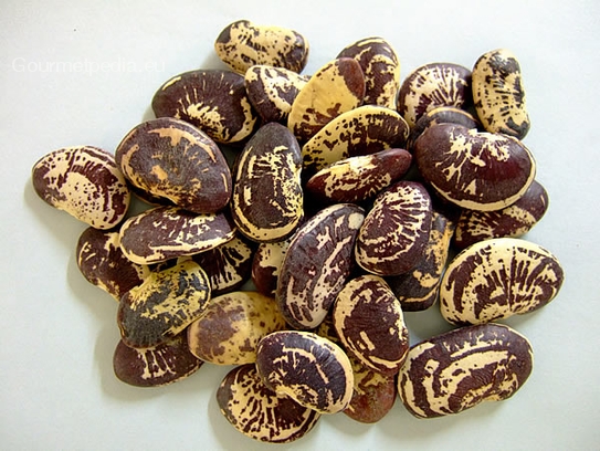 Haricots