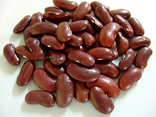 Haricot Kidney