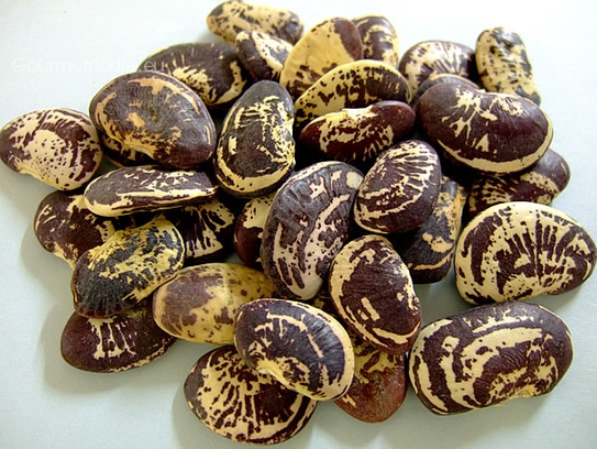 Haricots