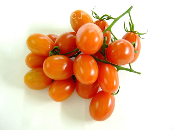 - date tomatoes - Gourmetpedia Vegetables Cherry