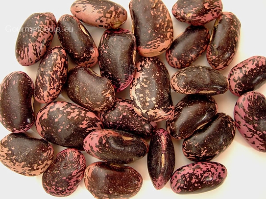 Haricots