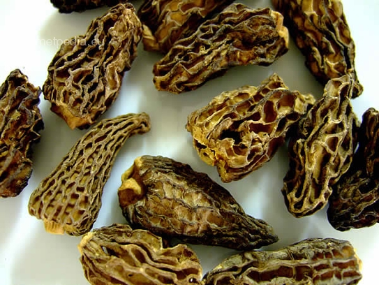 Morilles en pointe séchées
