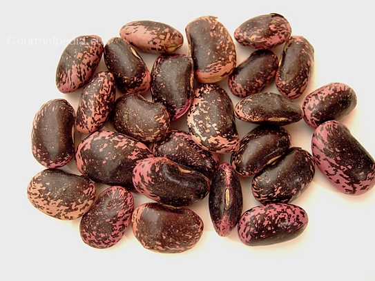 Haricots
