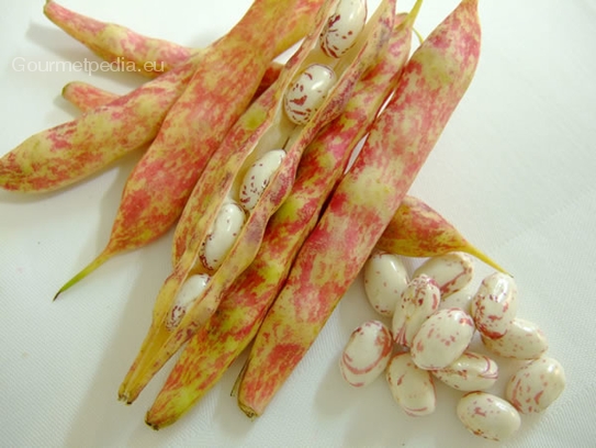 Haricots Borlotti blancs