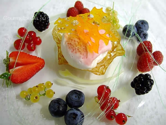 Fresh wild berries with elderberry and rasperry sherbet