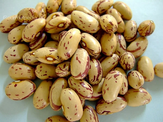 Haricots Borlotti