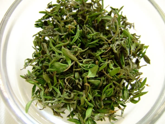 Thymian