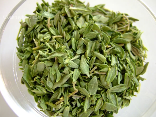 Thymian