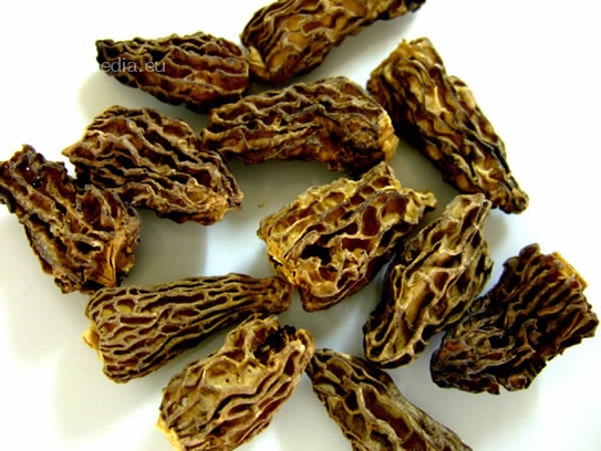 Morilles en pointe séchées