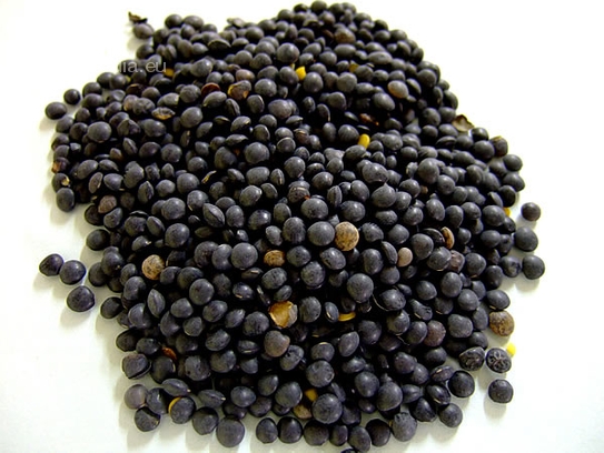 Lentejas negras