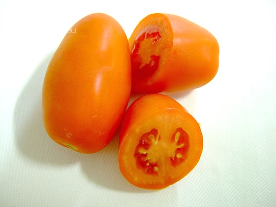 San Marzano Tomaten / Flaschentomaten