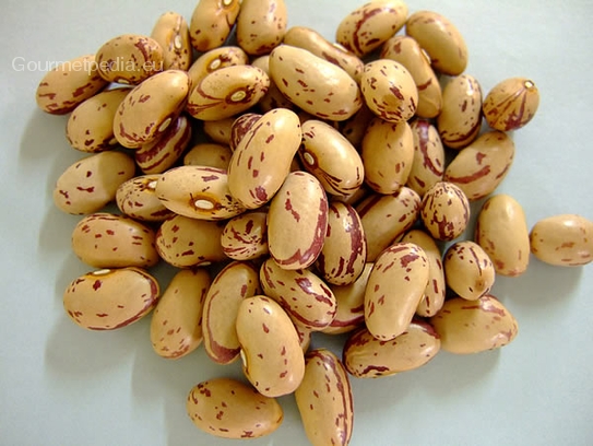 Haricots Borlotti
